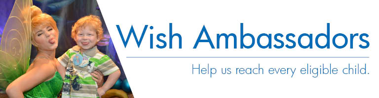 Make-A-Wish Illinois Logo