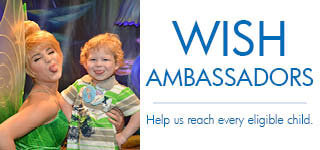 Make-A-Wish Illinois Logo