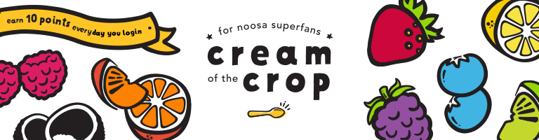 Noosa Yoghurt Logo