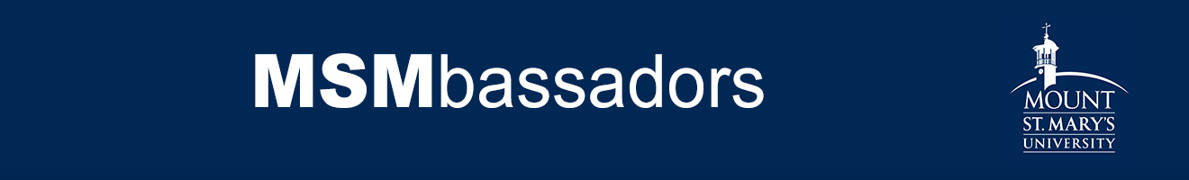 MSMbassadors Logo