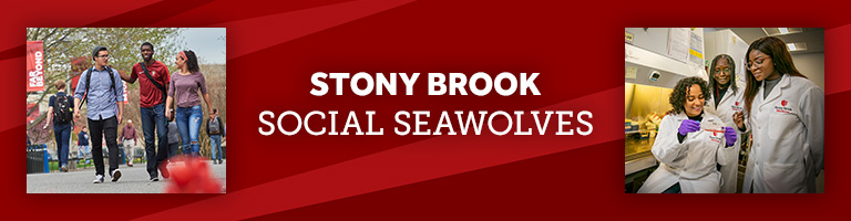 Social Seawolves Logo