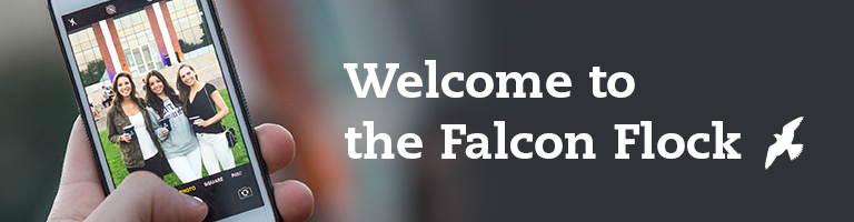 Falcon Flock Logo